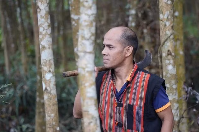 Ông Hồ Văn Vàng, Bí thư chi bộ thôn Ho Rum, cũng có rừng keo lai thuộc diện không được khai thác