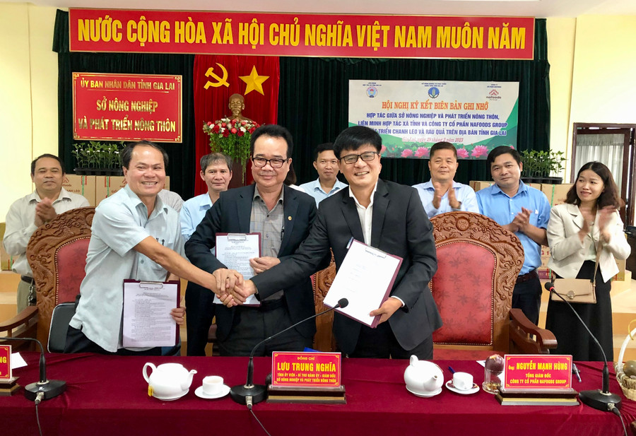 Sở Nông nghiệp và PTNT, Liên minh Hợp tác xã tỉnh và Công ty cổ phần Nafoods Group ký kết biên bản ghi nhớ hợp tác về phát triển chanh dây. Ảnh: Lê Nam