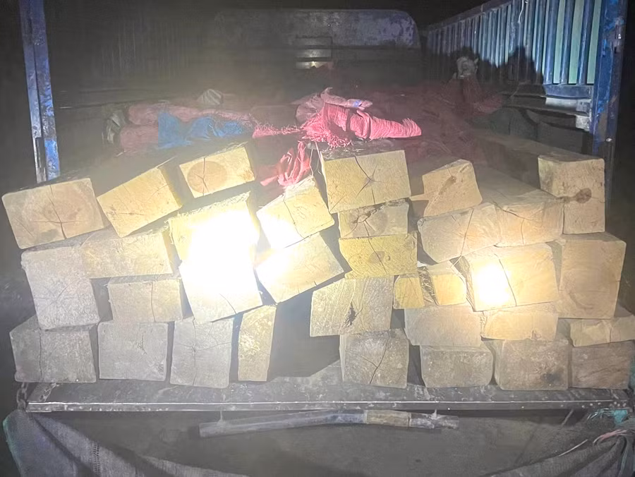 Từ những nguồn tin ở cơ sở, lực lượng chức năng của huyện Krông Pa đã phát hiện và bắt giữ nhiều vụ vận chuyển gỗ trái phép (ảnh UBND huyện cung cấp).