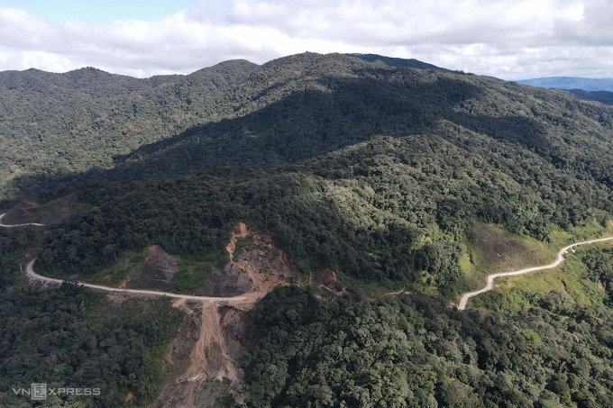 Rừng ở huyện Kon Plông, Kon Tum. Ảnh: Trần Hoá