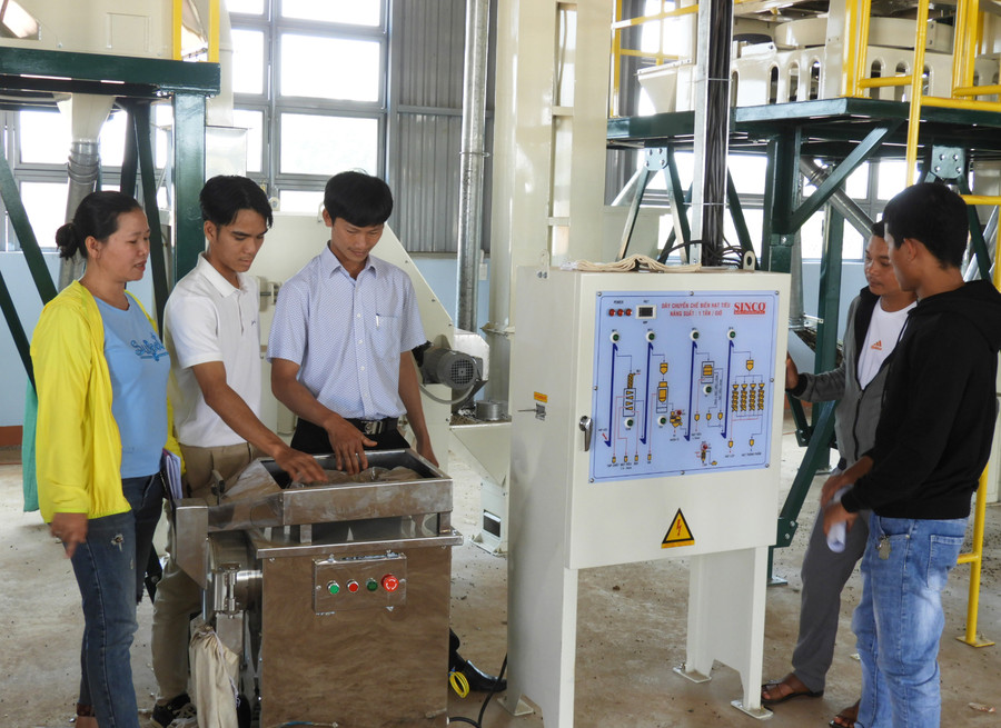 Hợp tác xã nông nghiệp và dịch vụ Nam Yang (xã Nam Yang huyện Đak Đoa) đầu tư máy móc dây chuyền chế biến hạt tiêu. Ảnh: Thanh Nhật Hợp tác xã nông nghiệp và dịch vụ Nam Yang (xã Nam Yang huyện Đak Đoa) đầu tư máy móc dây chuyền chế biến hạt tiêu. Ảnh: Thanh Nhật