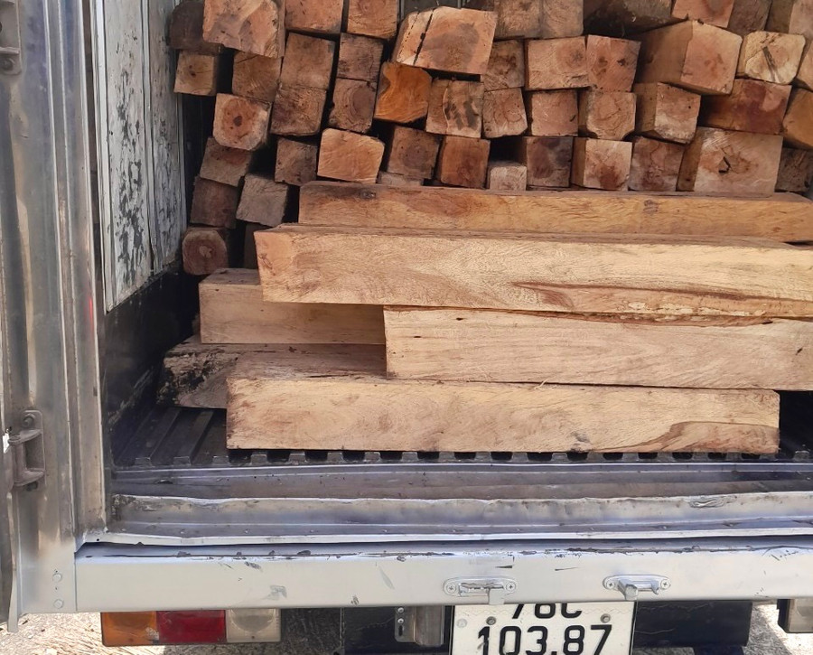 Số gỗ vận chuyển trái phép phát hiện trên xe ô tô đông lạnh bị lực lượng Công an xã Ia Dreh bắt giữ (ảnh UBND huyện cung cấp), Số gỗ vận chuyển trái phép phát hiện trên xe ô tô đông lạnh bị lực lượng Công an xã Ia Dreh bắt giữ (ảnh UBND huyện cung cấp),