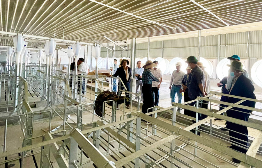 Dự án chăn nuôi của Công ty TNHH một thành viên thương mại Thanh Trang Gia Lai đang xây dựng tại xã Chư Răng (huyện Ia Pa). Ảnh: Vũ Thảo Dự án chăn nuôi của Công ty TNHH một thành viên thương mại Thanh Trang Gia Lai đang xây dựng tại xã Chư Răng (huyện Ia Pa). Ảnh: Vũ Thảo