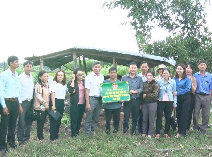 Quỹ Hỗ trợ nông dân thị xã An Khê hỗ trợ kinh phí cho hội viên nông dân xã Xuân An mua bò sinh sản. Ảnh: Trí Đức
