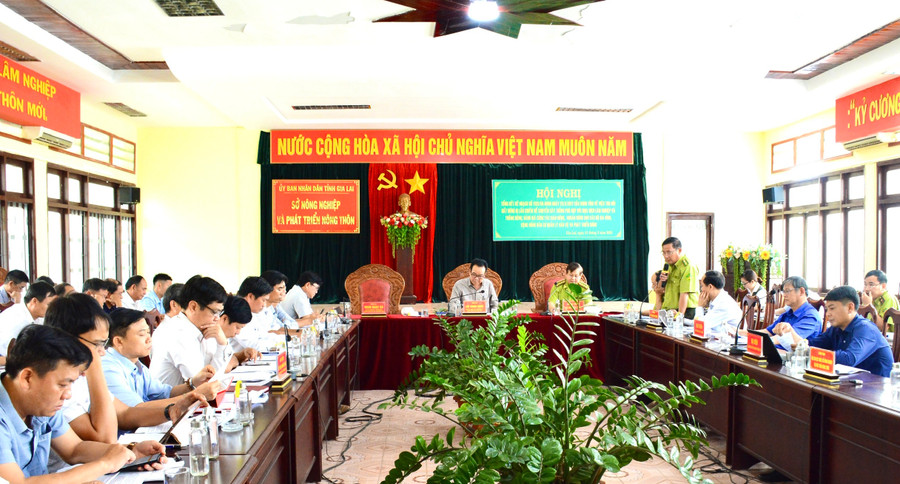 Quang cảnh hội nghị đánh giá kết quả thu hồi đất rừng bị lấn chiếm để trồng cây phù hợp với mục đích lâm nghiệp và trồng rừng, giao rừng, khoán rừng cho các hộ gia đình, cộng đồng dân cư. Ảnh: Minh Nguyễn