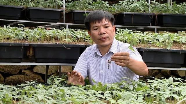 TS Phạm Quang Tuyến cho rằng thiếu vốn là vấn đề thật sự đối với mục tiêu phát triển sâm quy mô lớn TS Phạm Quang Tuyến cho rằng thiếu vốn là vấn đề thật sự đối với mục tiêu phát triển sâm quy mô lớn