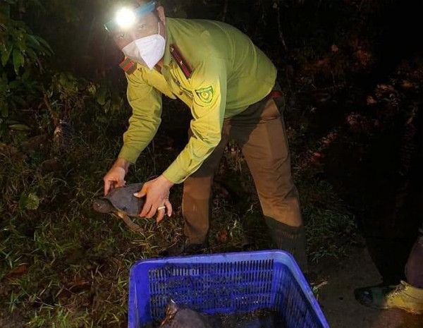 Động vật hoang dã sau khi được giải cứu sẽ được thả về với thiên nhiên.