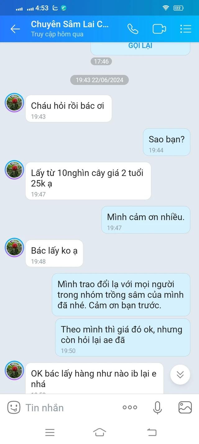 Một người bán cây sâm giống trao đổi qua Zalo với PV một cây sâm giống 2 năm tuổi giá chỉ 25.000 đồng Một người bán cây sâm giống trao đổi qua Zalo với PV một cây sâm giống 2 năm tuổi giá chỉ 25.000 đồng