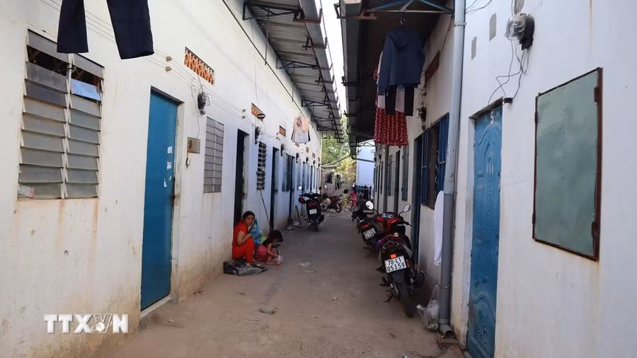 (Ảnh: Đậu Tất Thành/TTXVN)