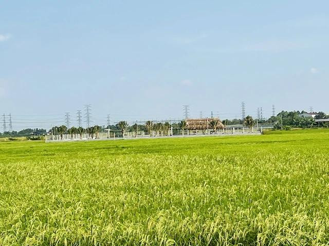 Nhiều người dân mong muốn lùi thời điểm áp dụng bảng giá đất mới