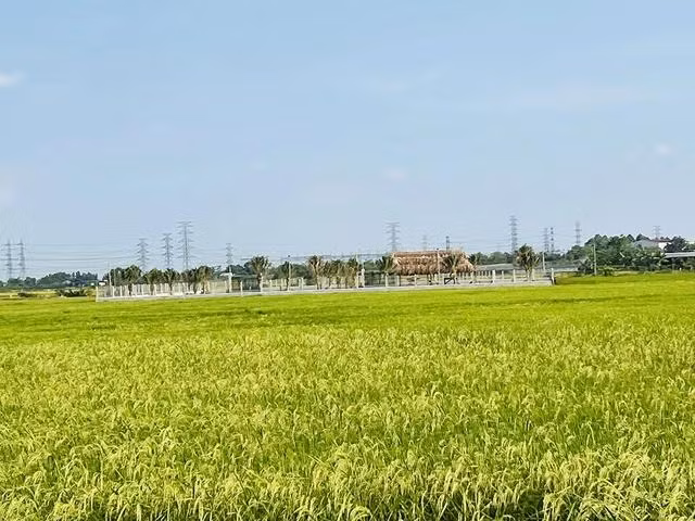 Nhiều người dân mong muốn lùi thời điểm áp dụng bảng giá đất mới