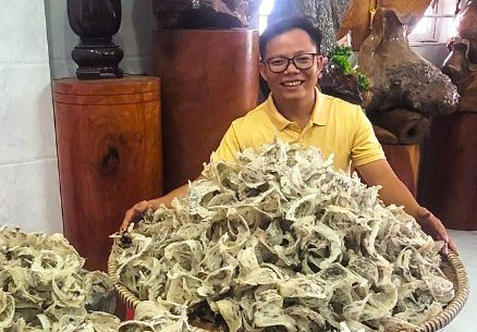 Hàng năm, gia đình anh Phạm Khắc Quyến thu hoạch 50-60 kg yến, mang lại thu nhập hàng tỷ đồng. Ảnh: N.M