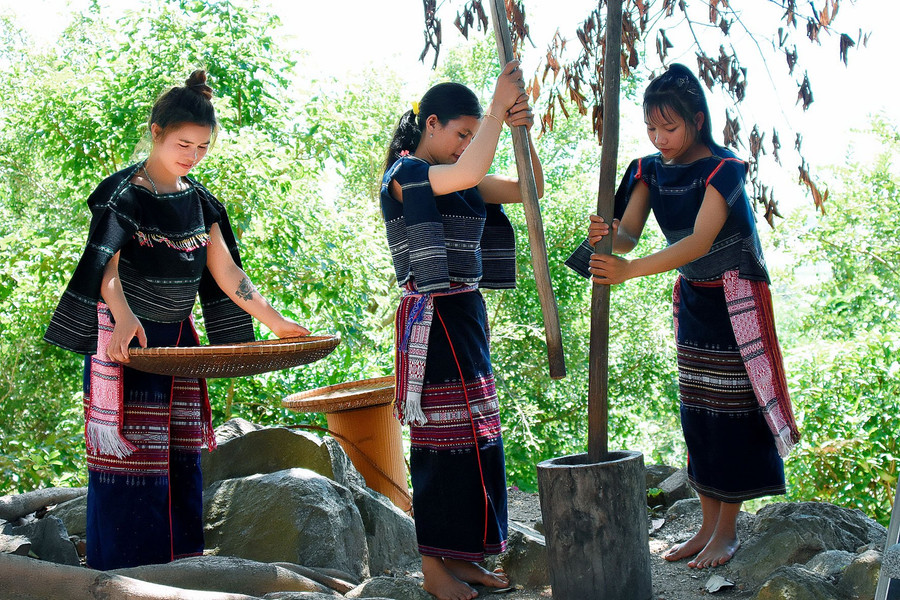 Thiếu nữ Bahnar tái hiện không gian giã gạo trong “Lễ tỉa lúa đầu năm". Ảnh: Đ.T Thiếu nữ Bahnar tái hiện không gian giã gạo trong “Lễ tỉa lúa đầu năm". Ảnh: Đ.T