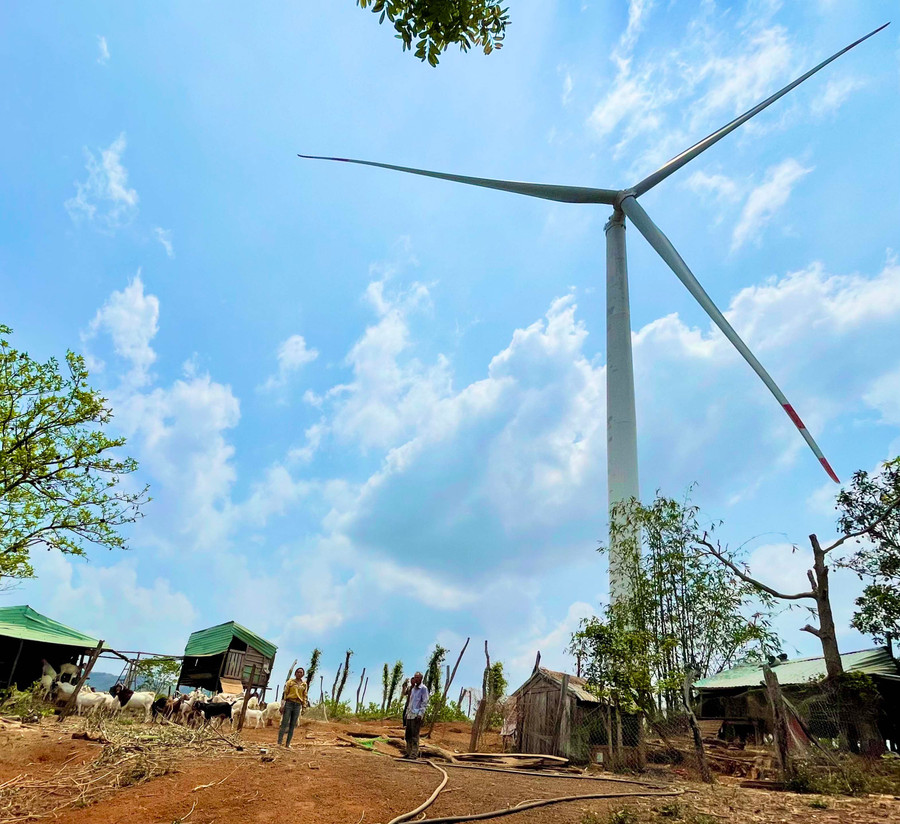 Gia đình ông Trần Ngọc Minh (thôn Phú Bình, xã Ia Le, huyện Chư Pưh) vô cùng lo lắng khi sinh sống và canh tác dưới phạm vi hành lang an toàn cột tháp gió. Ảnh: V.T