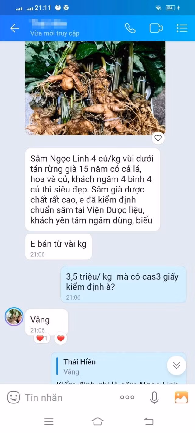 Một người giới thiệu với PV loại sâm gọi là “SNL” chỉ 3,5 triệu đồng/kg và khẳng định có giấy kiểm định