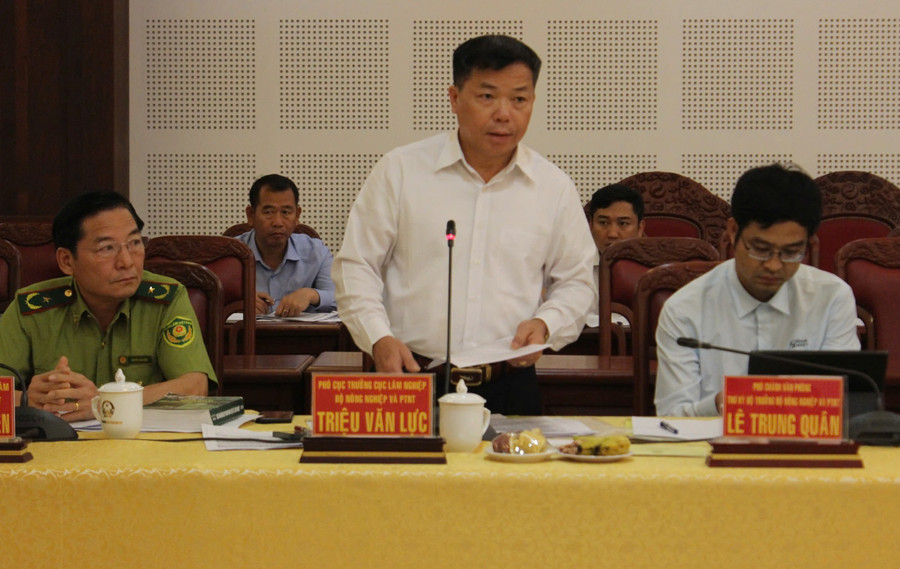 Phó Cục trưởng Cục Lâm nghiệp Triệu Văn Lực phát biểu. Ảnh: M.T Phó Cục trưởng Cục Lâm nghiệp Triệu Văn Lực phát biểu. Ảnh: M.T