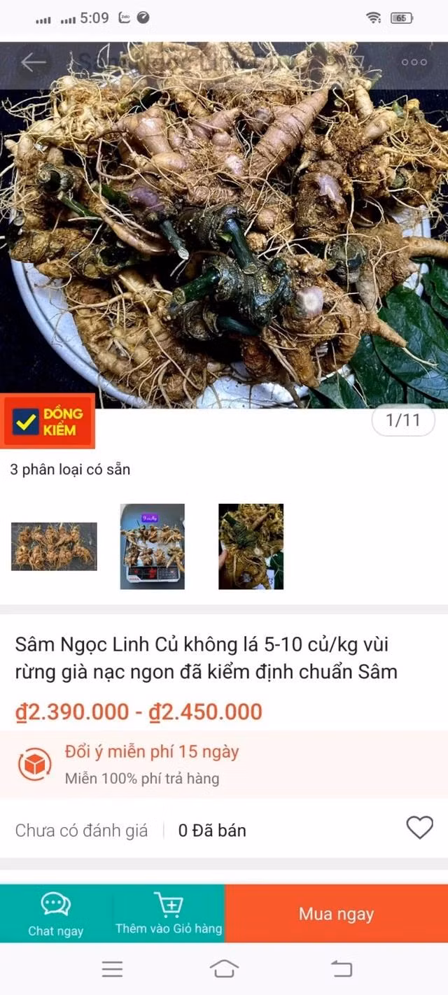 Các trang thương mại điện tử cũng bán sâm gọi là SNL với giá rẻ