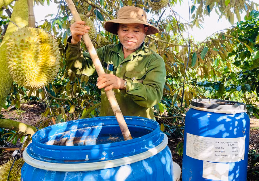 Ông Phan Văn Chạo (thôn 2, xã Nghĩa Hòa) tự ủ đạm cá hữu cơ để bón cho cây trồng. Ảnh: T.D