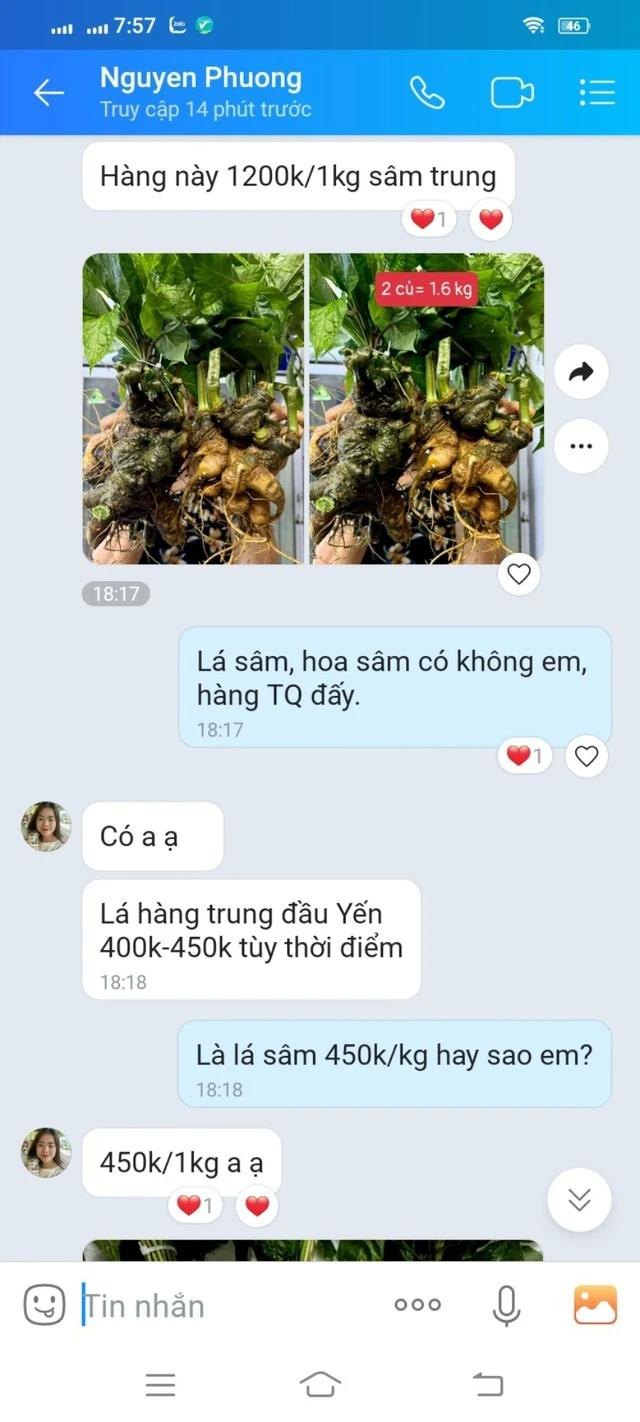 Một người giới thiệu với PV sâm củ và lá sâm giá rẻ bất ngờ Một người giới thiệu với PV sâm củ và lá sâm giá rẻ bất ngờ