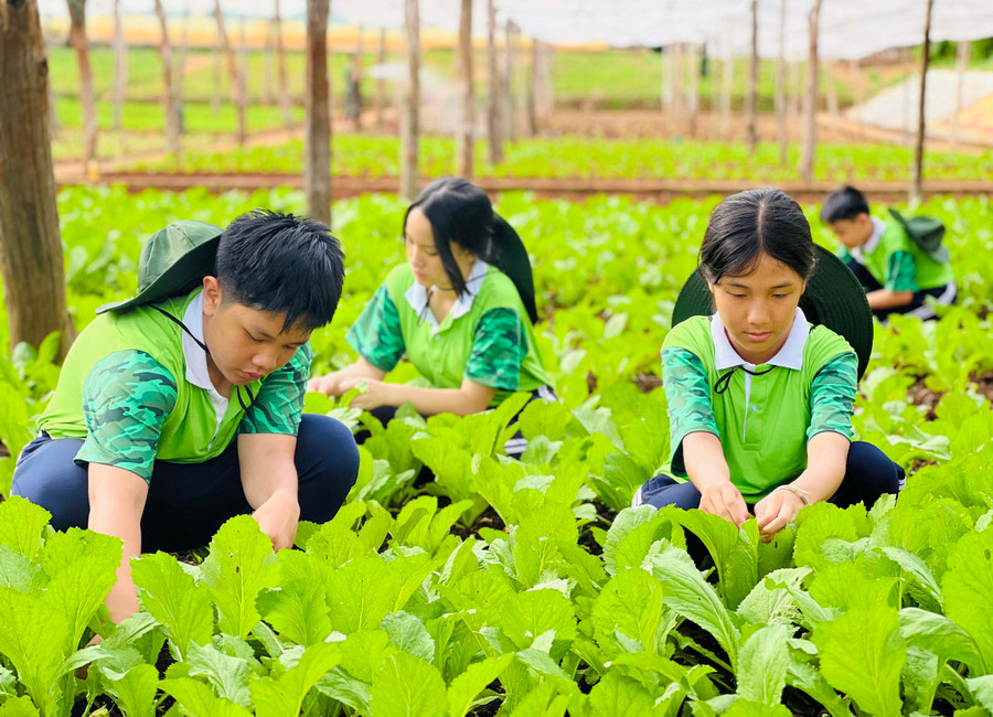 Chương trình Học kỳ trong quân đội là sân chơi bổ ích, giúp các “chiến sĩ nhí” rèn sức vóc, luyện tinh thần và trưởng thành hơn. Ảnh: P.L