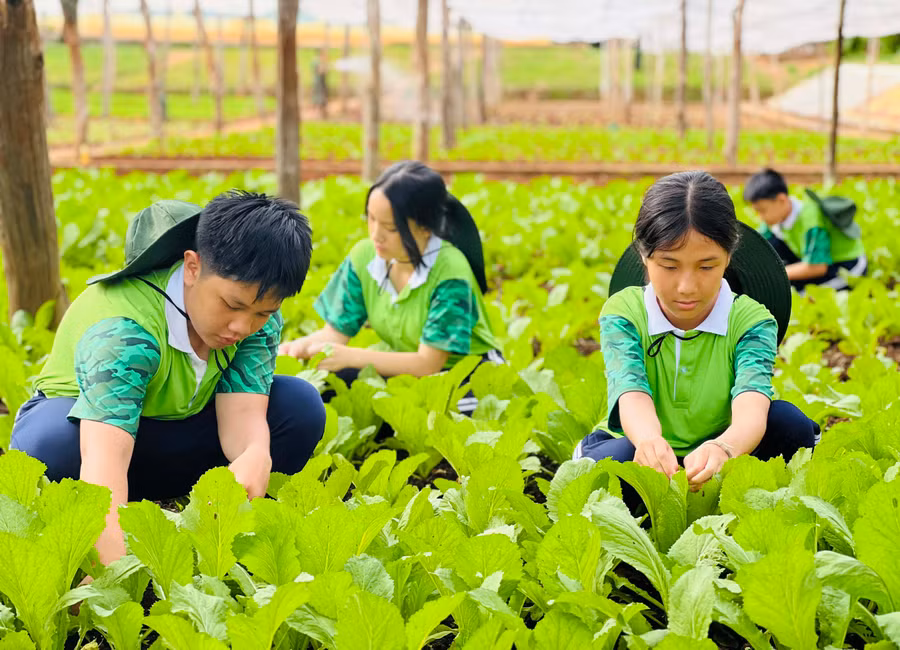 Chương trình Học kỳ trong quân đội là sân chơi bổ ích, giúp các “chiến sĩ nhí” rèn sức vóc, luyện tinh thần và trưởng thành hơn. Ảnh: P.L