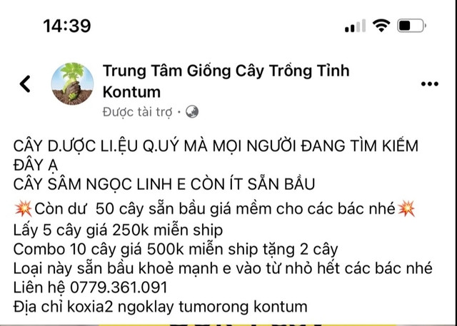 Bài đăng rao bán sâm Ngọc Linh giả trên mạng xã hội
