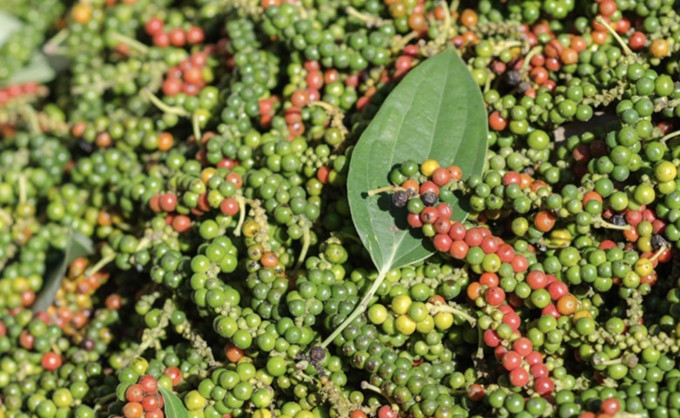 Ảnh minh họa: Internet Ảnh minh họa: Internet