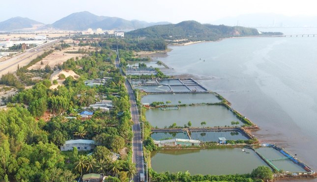 Khu vực quy hoạch dự án.