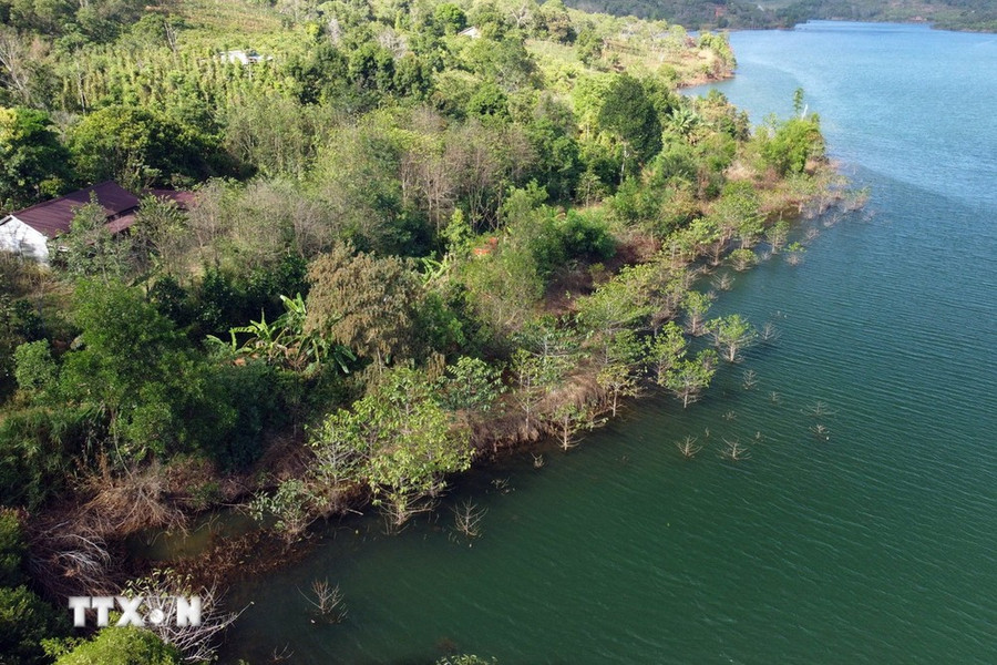 Rừng bán ngập tại hồ thủy điện Đắk R’tih, Đắk Nông. (Ảnh: Hưng Thịnh/TTXVN) Rừng bán ngập tại hồ thủy điện Đắk R’tih, Đắk Nông. (Ảnh: Hưng Thịnh/TTXVN)