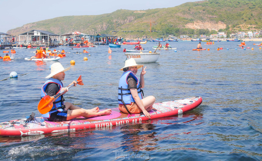 Một thành viên của Tổ bảo vệ rạn san hô xã Nhơn Hải đang quản lý, hướng dẫn du khách trải nghiệm lặn ngắm san hô, rong mơ - cho biết, cao điểm ngày cuối tuần ước khoảng 500 - 600 lượt khách đến tham quan, du lịch. Ảnh: Trương Định. Một thành viên của Tổ bảo vệ rạn san hô xã Nhơn Hải đang quản lý, hướng dẫn du khách trải nghiệm lặn ngắm san hô, rong mơ - cho biết, cao điểm ngày cuối tuần ước khoảng 500 - 600 lượt khách đến tham quan, du lịch. Ảnh: Trương Định.