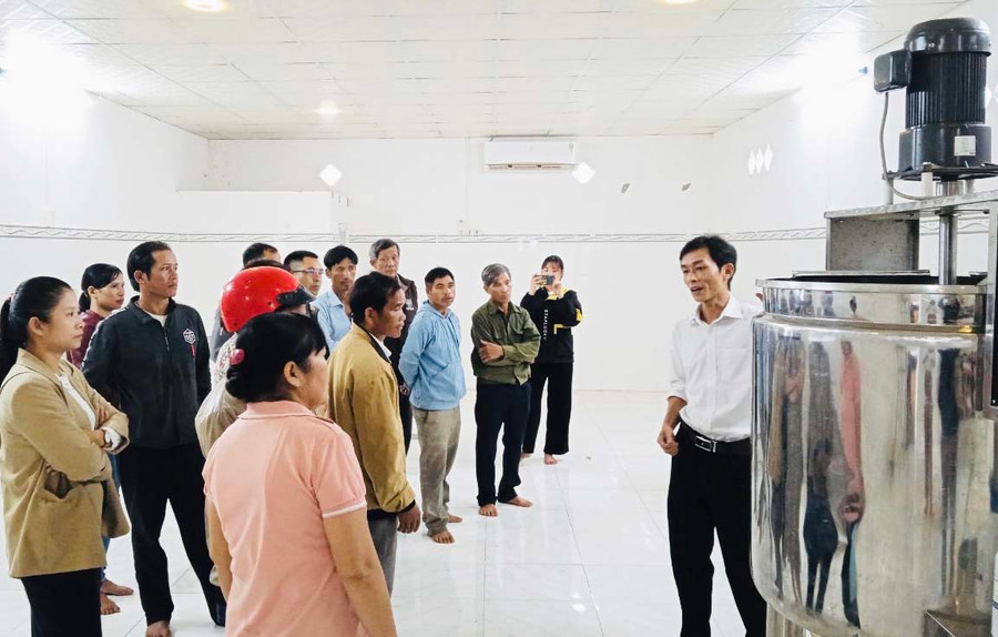 Trung tâm Ứng dụng tiến bộ KH-CN tỉnh giới thiệu cho các đơn vị, cá nhân về quy trình sản xuất và chế biến bơ. Ảnh: Mai Ka Trung tâm Ứng dụng tiến bộ KH-CN tỉnh giới thiệu cho các đơn vị, cá nhân về quy trình sản xuất và chế biến bơ. Ảnh: Mai Ka