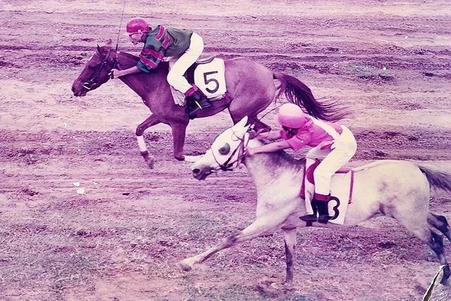 Một cuộc đua ngựa tại trường đua Phú Thọ thập niên 1990 Một cuộc đua ngựa tại trường đua Phú Thọ thập niên 1990