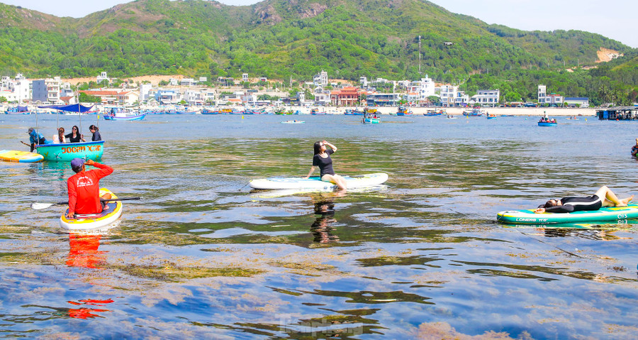 Chị Hoa (44 tuổi), du khách đến từ Bình Dương đang có chuyến du lịch cùng gia đình ở Bình Định chia sẻ rất thích thú khi được ngắm nhìn vẻ đẹp hoang sơ của Hòn Khô. Đặc biệt, ngày đầu hè, được hòa mình vào làn nước biển trong xanh, tự tay chèo sup ngắm nhìn cánh đồng rong mơ đem lại một cảm giác rất tuyệt vời. Ảnh: Trương Định. Chị Hoa (44 tuổi), du khách đến từ Bình Dương đang có chuyến du lịch cùng gia đình ở Bình Định chia sẻ rất thích thú khi được ngắm nhìn vẻ đẹp hoang sơ của Hòn Khô. Đặc biệt, ngày đầu hè, được hòa mình vào làn nước biển trong xanh, tự tay chèo sup ngắm nhìn cánh đồng rong mơ đem lại một cảm giác rất tuyệt vời. Ảnh: Trương Định.