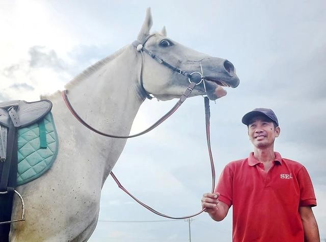 Tiêu chuẩn đánh giá ngựa tốt, đẹp là: móng đứng, ngực nở, lông mượt, cằm rộng, chân thẳng, tai thuôn (hai tai vểnh lên, ôm sát mặt)…