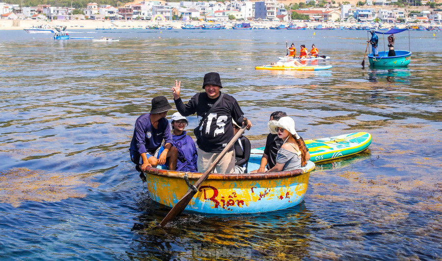 Theo ghi nhận của Tiền Phong, du khách đến Hòn Khô để chiêm ngưỡng vẻ đẹp thiên nhiên ban tặng. Những thông tin, hình ảnh đẹp về “cánh đồng vàng” trên mặt biển được chia sẻ trên mạng xã hội khiến ai nấy háo hức, khi du lịch đến Bình Định thời điểm này không thể bỏ lỡ cơ hội đến check-in nơi đây. Ảnh: Trương Định. Theo ghi nhận của Tiền Phong, du khách đến Hòn Khô để chiêm ngưỡng vẻ đẹp thiên nhiên ban tặng. Những thông tin, hình ảnh đẹp về “cánh đồng vàng” trên mặt biển được chia sẻ trên mạng xã hội khiến ai nấy háo hức, khi du lịch đến Bình Định thời điểm này không thể bỏ lỡ cơ hội đến check-in nơi đây. Ảnh: Trương Định.