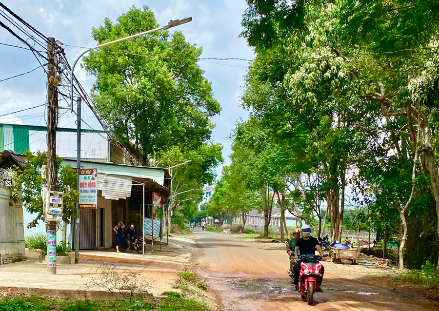 Dự án cải tạo hệ thống đèn chiếu sáng công cộng TP. Pleiku được kéo dài thời gian thực hiện và giải ngân từ năm 2023 sang năm 2024. Ảnh: N.K Dự án cải tạo hệ thống đèn chiếu sáng công cộng TP. Pleiku được kéo dài thời gian thực hiện và giải ngân từ năm 2023 sang năm 2024. Ảnh: N.K