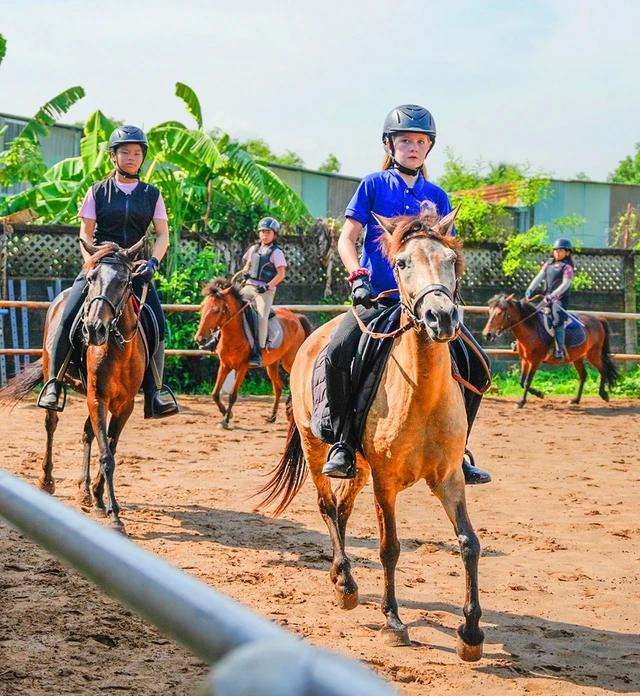 Những kỵ sĩ nhí