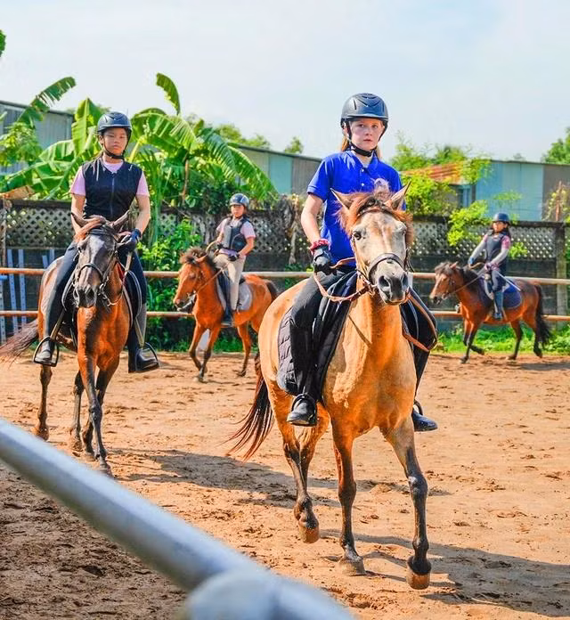 Những kỵ sĩ nhí