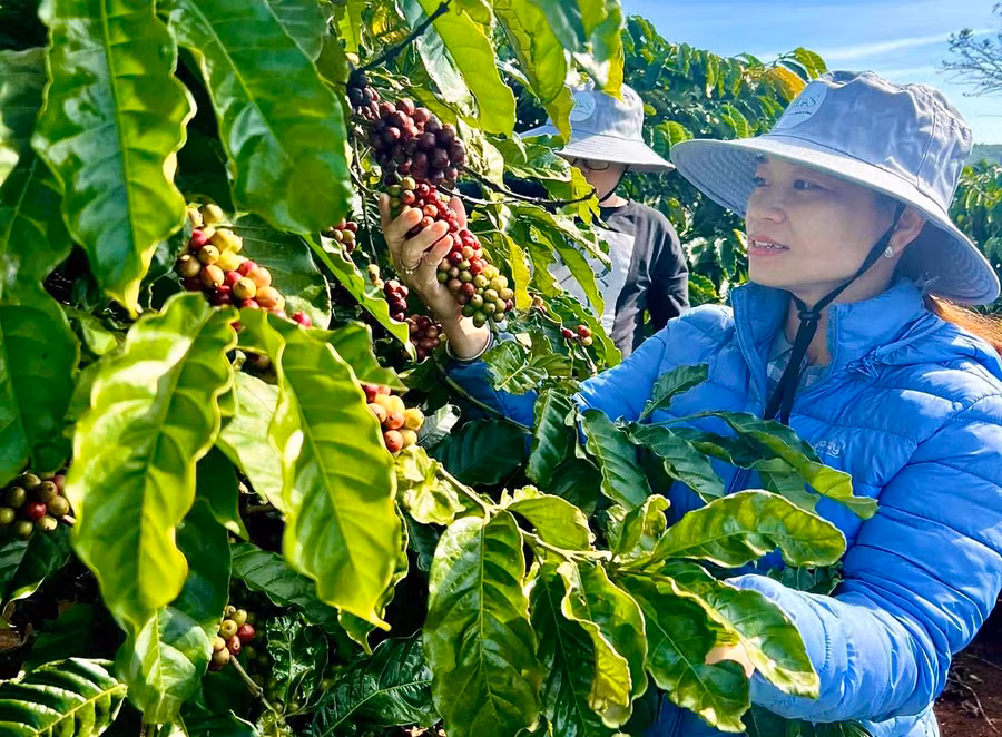 Gia Lai đang nỗ lực nâng cao chất lượng, hiệu quả hoạt động khoa học và công nghệ để áp dụng vào các lĩnh vực sản xuất, đời sống. Ảnh: H.D