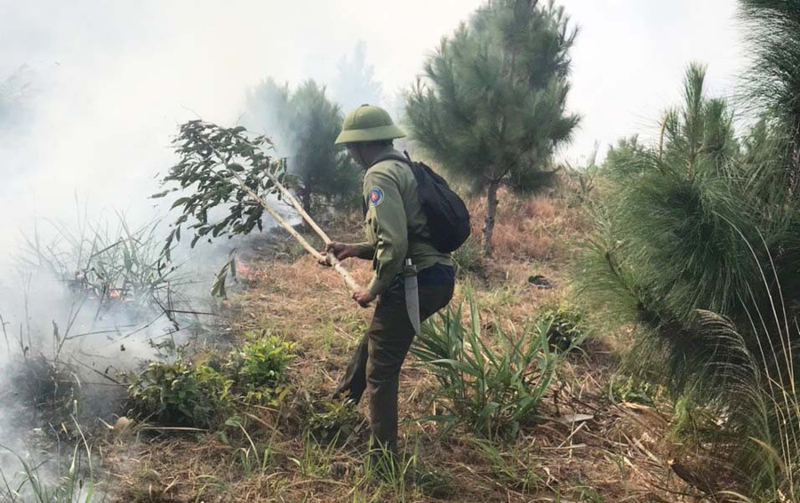 Ban Quản lý rừng phòng hộ Ia Púch tiến hành đốt thực bì. Ảnh: H.S