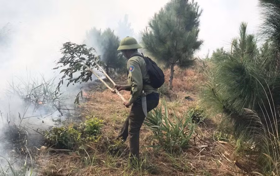 Ban Quản lý rừng phòng hộ Ia Púch tiến hành đốt thực bì. Ảnh: H.S Ban Quản lý rừng phòng hộ Ia Púch tiến hành đốt thực bì. Ảnh: H.S