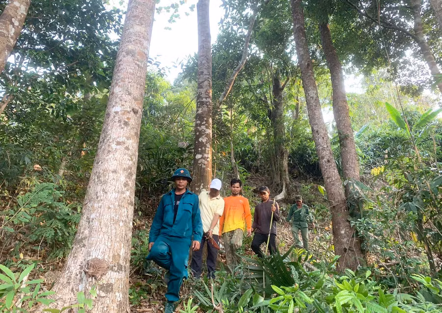 Hộ nhận khoán tuần tra rừng tại lâm phần Ban Quản lý rừng phòng hộ Bắc Biển Hồ. Ảnh: H.S Hộ nhận khoán tuần tra rừng tại lâm phần Ban Quản lý rừng phòng hộ Bắc Biển Hồ. Ảnh: H.S