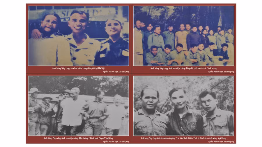 Ảnh đơn vị cung cấp.