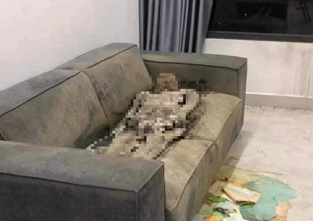 Thi thể cô gái được phát hiện đã khô trên ghế sofa