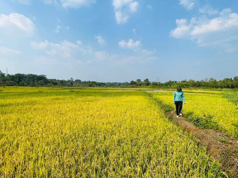 Các mô hình hỗ trợ sinh kế là nguồn động viên, khích lệ các hộ nghèo, cận nghèo tích cực vươn lên gầy dựng cuộc sống. Ảnh: M.K Các mô hình hỗ trợ sinh kế là nguồn động viên, khích lệ các hộ nghèo, cận nghèo tích cực vươn lên gầy dựng cuộc sống. Ảnh: M.K