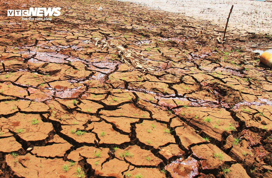 Ông Trần Đức Trọng - Chủ tịch UBND xã Hà Mòn cho biết năm nay tình hình hạn hán tại xã đang diễn biến phức tạp. Tiêu biểu là hồ chứa C3 bị ảnh hưởng nhiều nhất, đến giờ phút này đã gần như cạn nước. Ông Trần Đức Trọng - Chủ tịch UBND xã Hà Mòn cho biết năm nay tình hình hạn hán tại xã đang diễn biến phức tạp. Tiêu biểu là hồ chứa C3 bị ảnh hưởng nhiều nhất, đến giờ phút này đã gần như cạn nước.