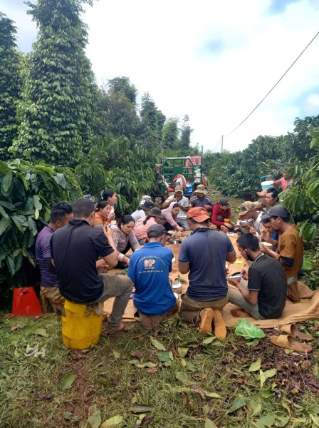 Bữa cơm sum vầy giữa rẫy cà phê của người thiên di