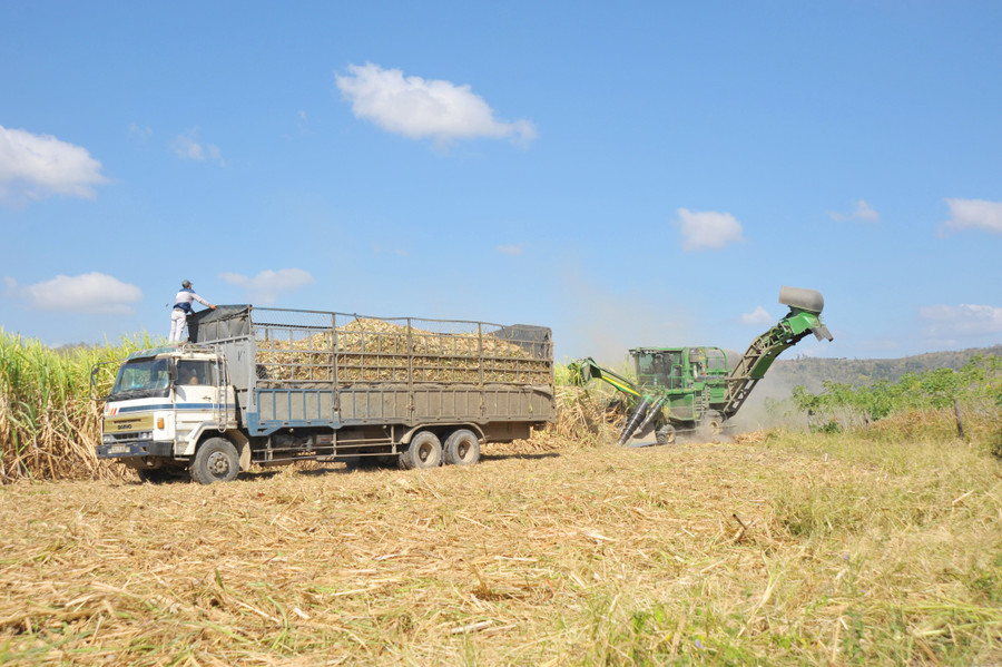 Cơ giới hóa việc thu hoạch mía tại các huyện, thị xã phía Đông Nam tỉnh. Ảnh: N.D