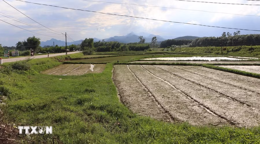 Khu vực được UBND xã Tịnh Đông, huyện Sơn Tịnh, tỉnh Quảng Ngãi thông báo xây dựng Khu dân cư Đồng Cây Quen. (Ảnh: Đinh Hương/TTXVN) Khu vực được UBND xã Tịnh Đông, huyện Sơn Tịnh, tỉnh Quảng Ngãi thông báo xây dựng Khu dân cư Đồng Cây Quen. (Ảnh: Đinh Hương/TTXVN)