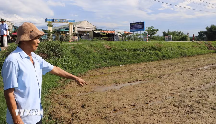 Người dân bức xúc khi đã 30 năm nhưng khu vực này vẫn là đất ruộng. (Ảnh: Đinh Hương/TTXVN) Người dân bức xúc khi đã 30 năm nhưng khu vực này vẫn là đất ruộng. (Ảnh: Đinh Hương/TTXVN)